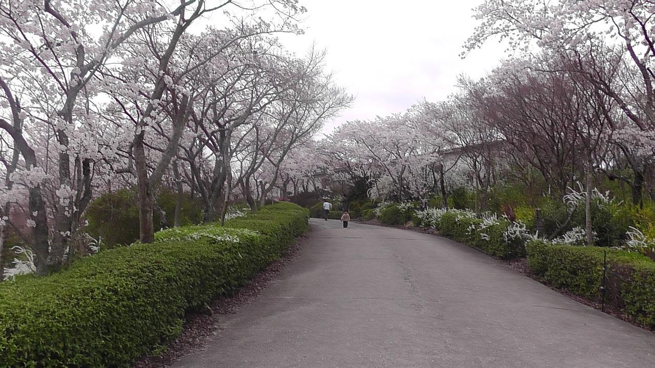 Nikkoen Otel Nishiwaki Dış mekan fotoğraf