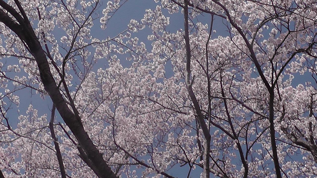 Nikkoen Otel Nishiwaki Dış mekan fotoğraf